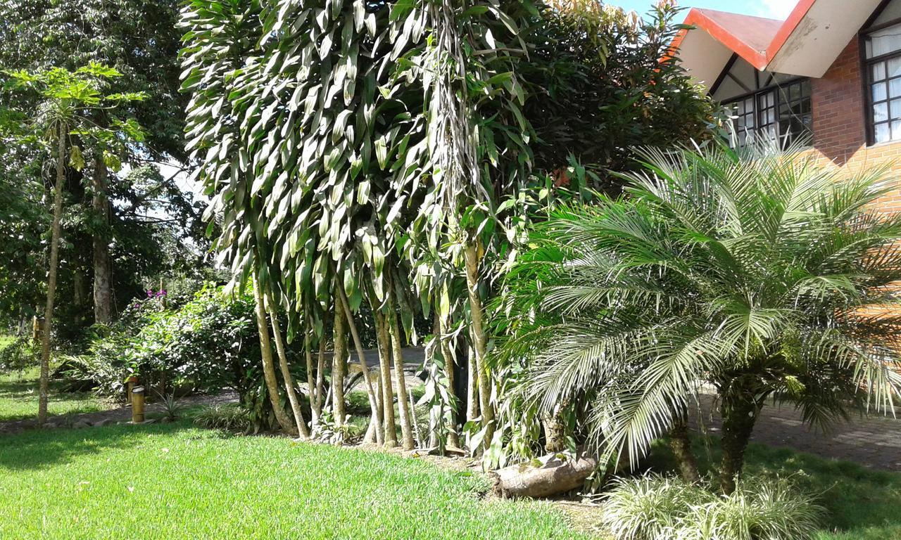 סנטו דומינגו דה לוס קולורדוס Estancia La Colina מראה חיצוני תמונה