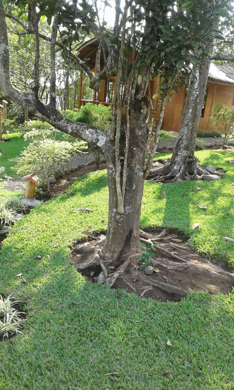 סנטו דומינגו דה לוס קולורדוס Estancia La Colina מראה חיצוני תמונה